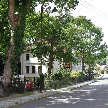 Mountain View Guest *