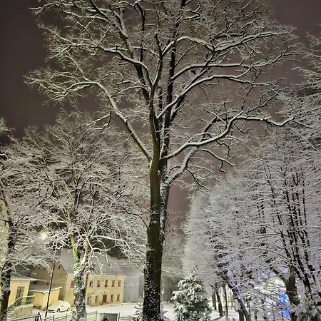 招待所 Mountain View Guest *