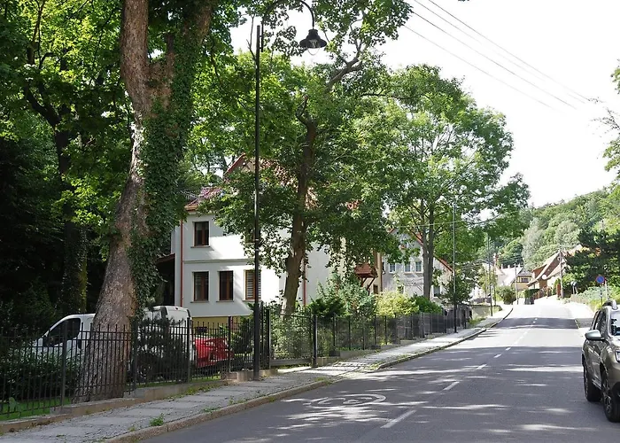 Mountain View Guest *