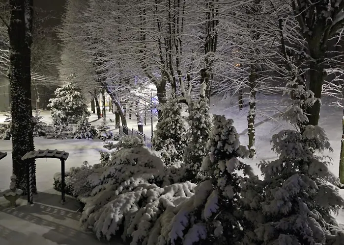 Guest house Mountain View Guest