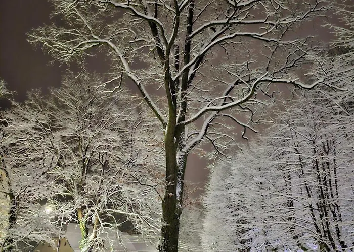 Guest house Mountain View Guest *